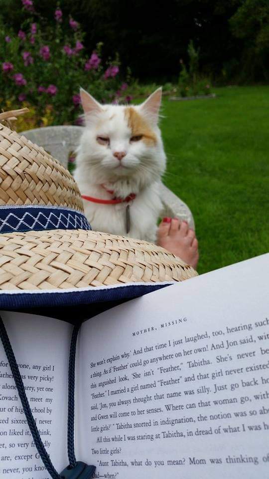 scrap_cat's tweet photo. Scrappy always enjoyed a good book! #CatsOfTwitter #kidsbooks https://t.co/jWonxQTION