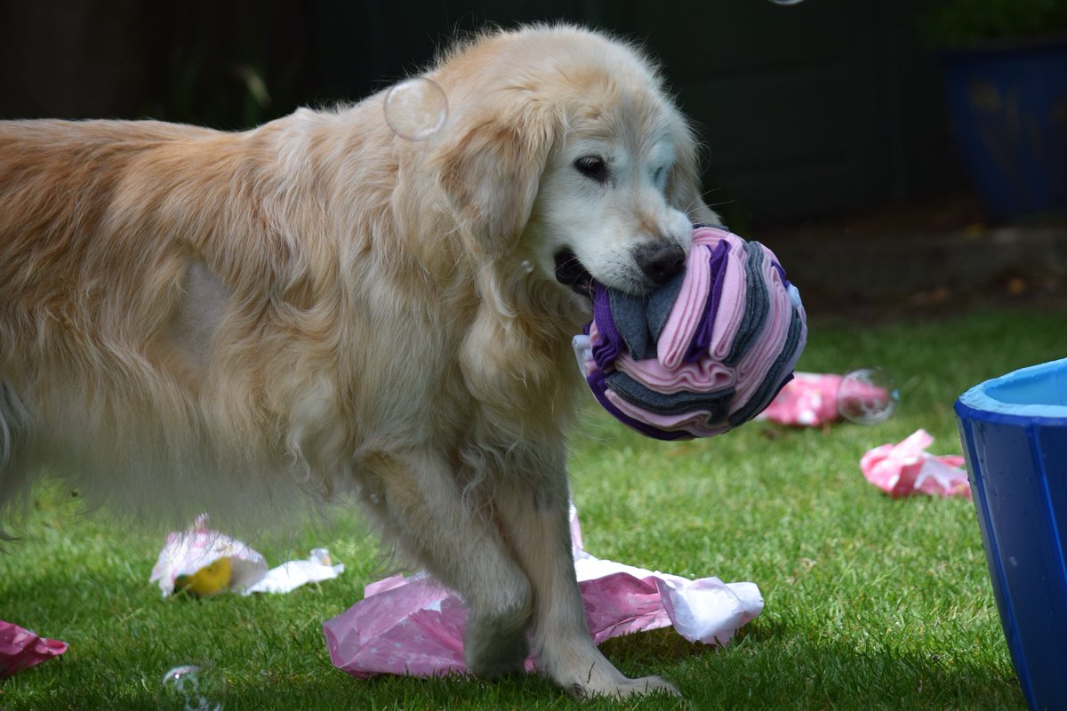 Bramber Bears💜 tweet media