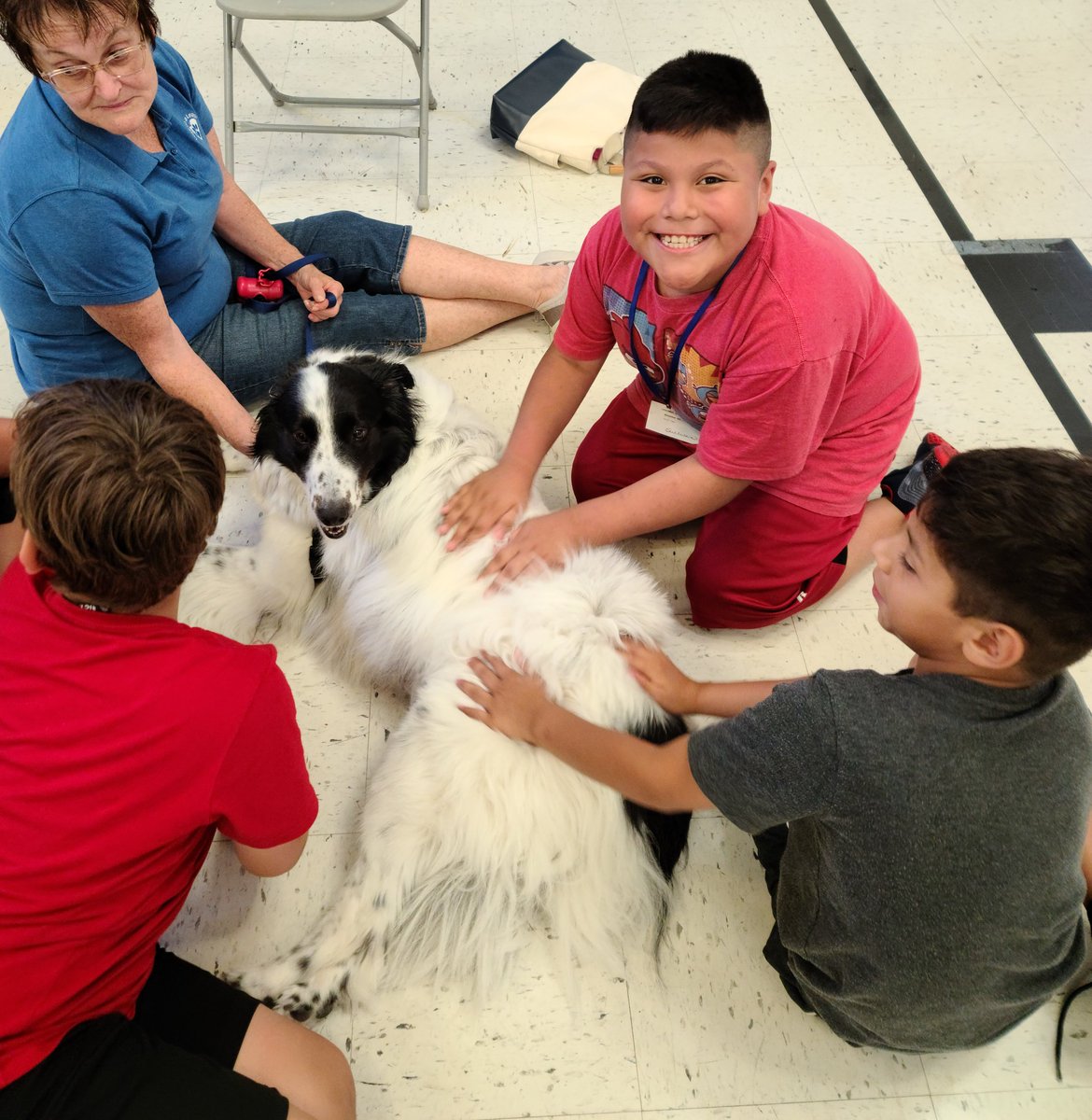 SullivanTeach's tweet photo. A visit from the therapy dogs is definitely one of the highlights of ESY this year! #d123summer #d123 https://t.co/7CTL8tPZHx