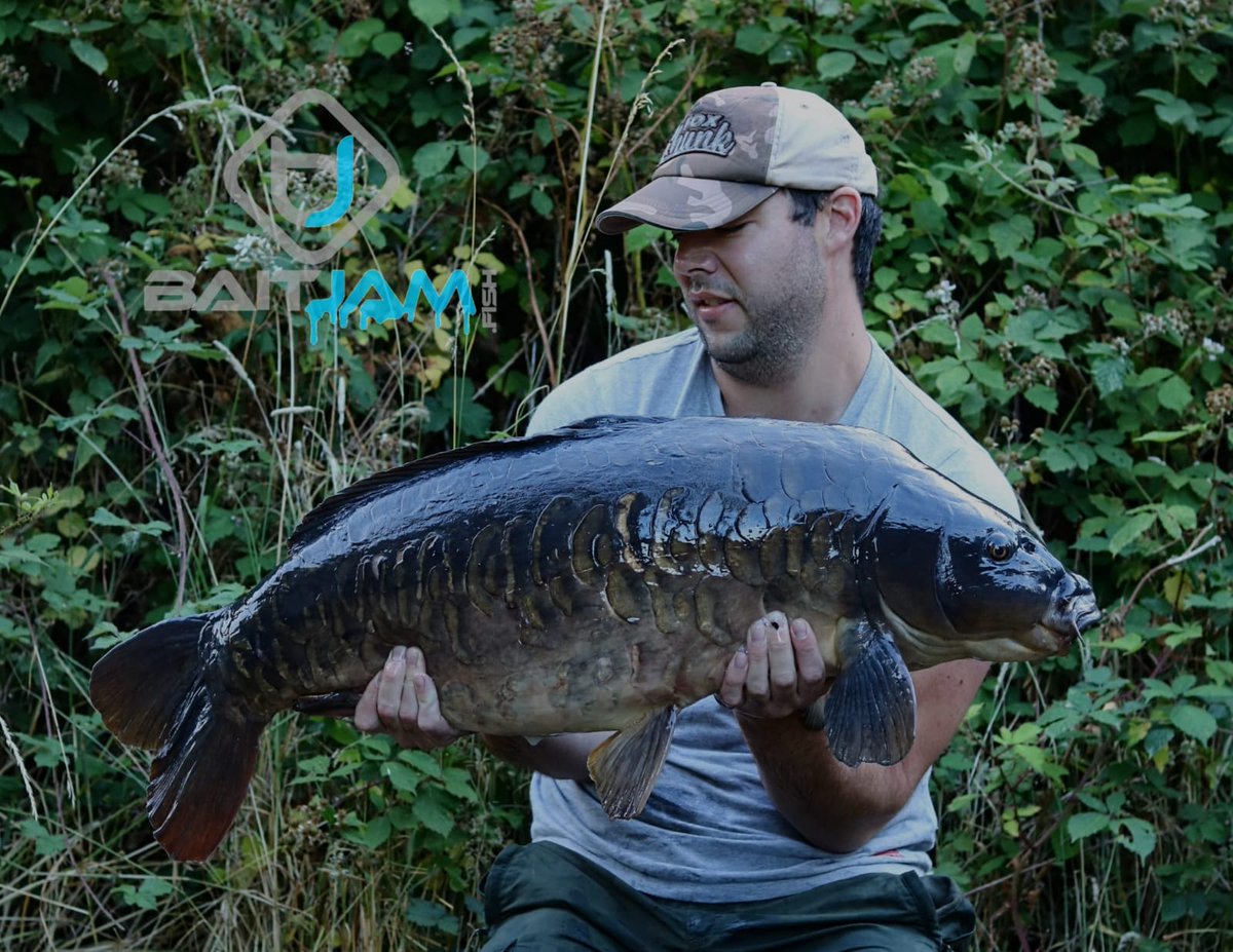 🔥A GORGEOUS CAPTURE FOR TEAM MEMBER ARRAN 🔥
Caught on a Berry Bite Wafter - get yours @ baitjam.fish
#baitjam #teambaitjam #berrybite #wafter #popup #boilie #exude #fishing #carpfishing #angling #carpangling