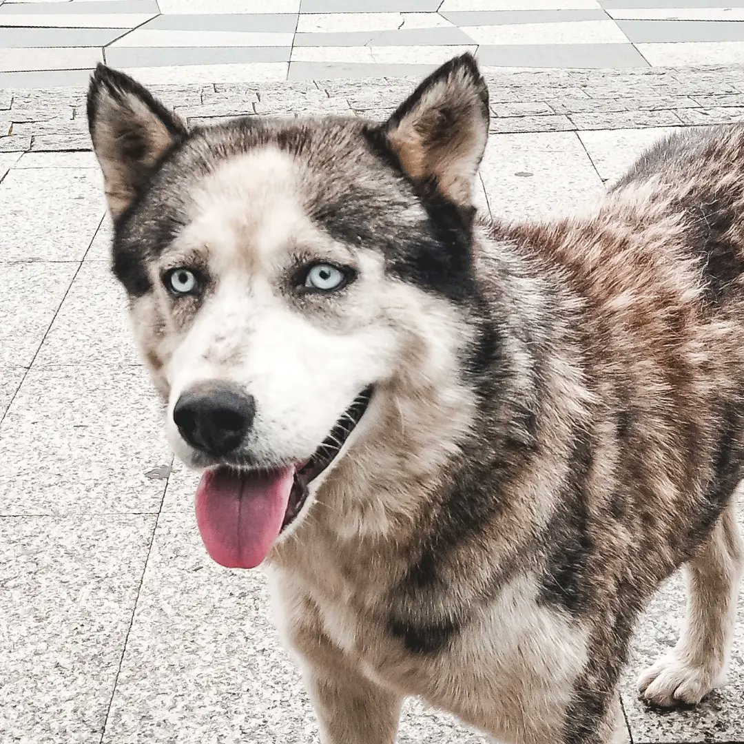 TataLoria's tweet image. GN 💫 #NFTCommunity 
Some shoots from #Batumi 🌊