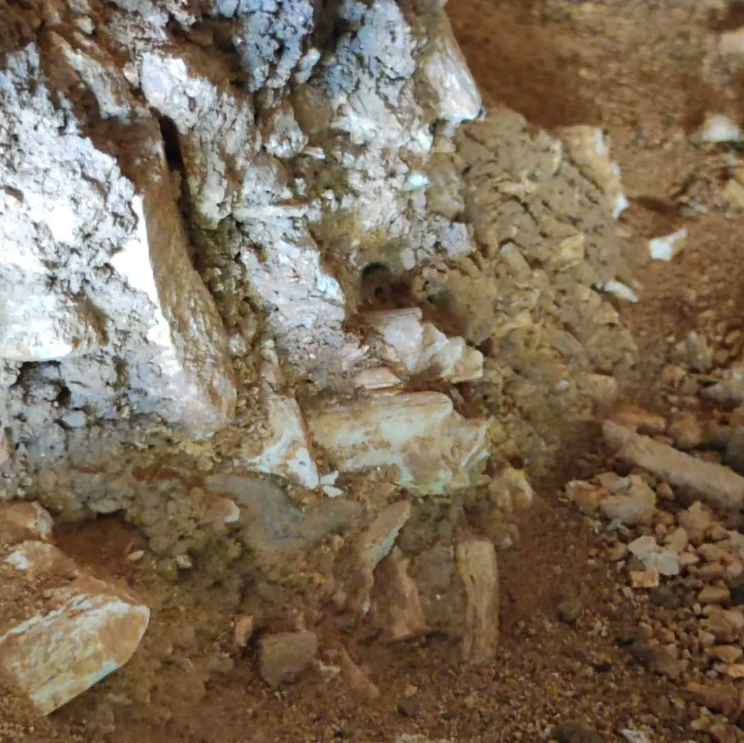 Arranca la campaña n° 32 de la Cova de Bolomor. Estad atentos a las fantásticas noticias que os daremos.¡ Este año promete !