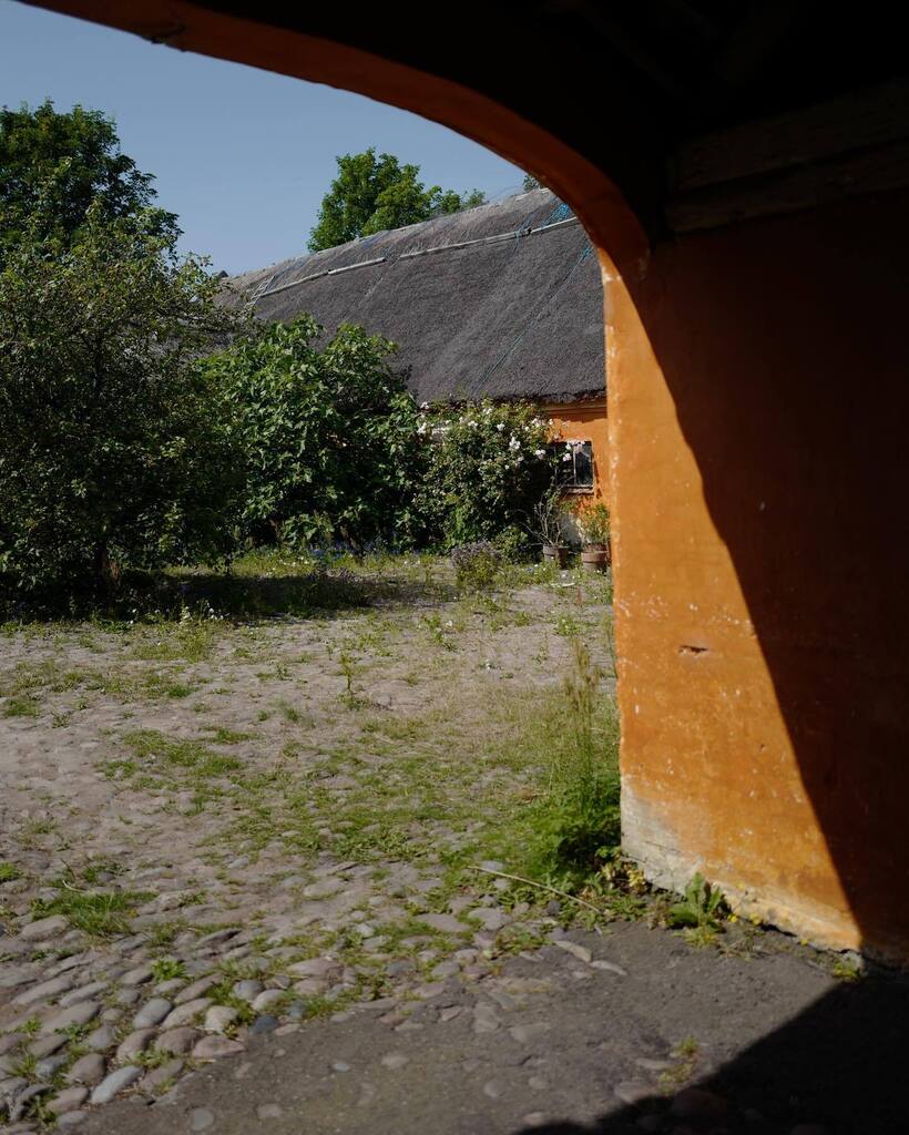 ibsen_peter's tweet photo. Tour de “Nakke”.. @ullavedelkeramik Leica fun and visitors @nathanwilliams 🌾 …. … #rørvig #danishsummer https://t.co/DQx5gpjUsM