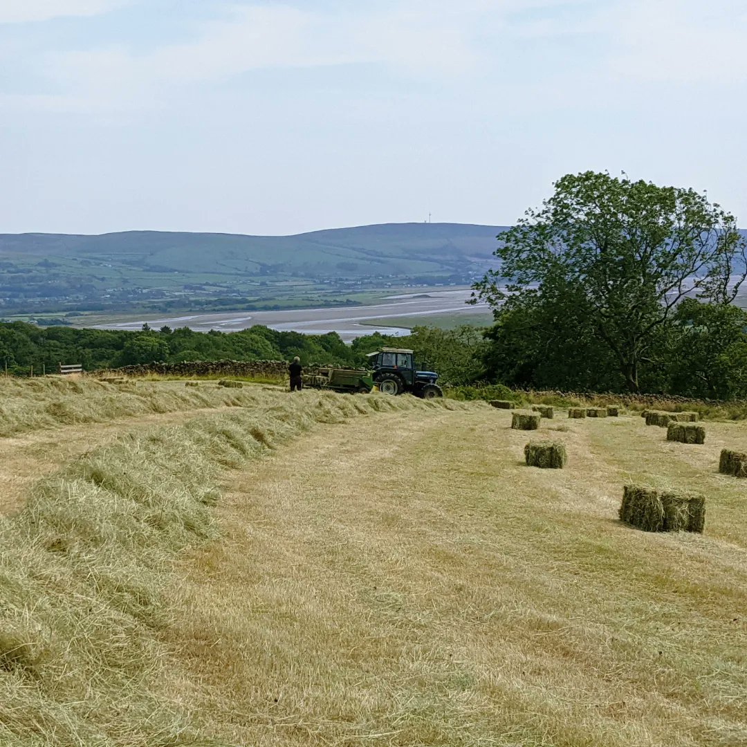 hazel_mount's tweet photo. Evening Twitter! Thankfully the heatwave didn't stop us getting the hay in 🥰🥵🥵
#countrylife #countryporn #notforwimps
@LakesCumbria @FeatureCumbria
@CumbriaWeather @WestTourism
@CumbriaCrack @cumbriapictures https://t.co/nrDptwQeTM