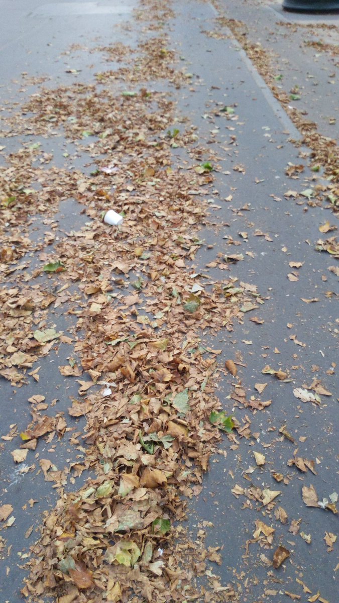 randomedicale's tweet photo. @korben_meteo L'automne @Paris50degres non les feuilles qui grillent sous l'effet de la chaleur https://t.co/ZRhqGyC7Vi