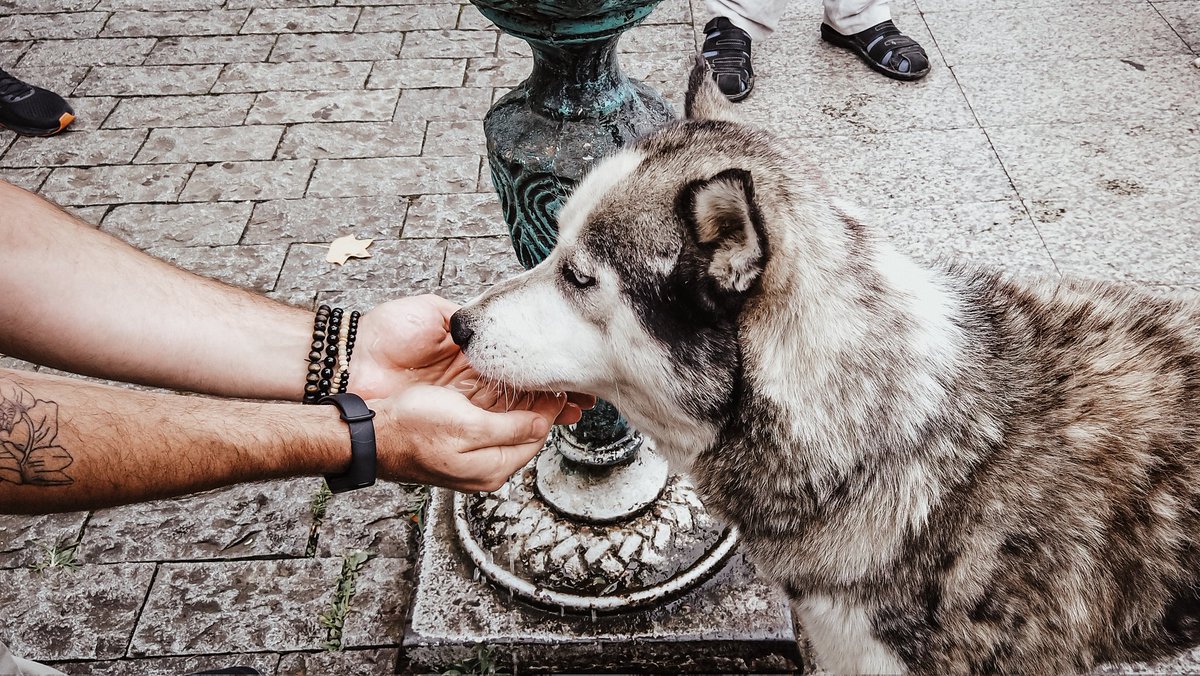 TataLoria's tweet image. Be Kind 🙌 #nftartist #photographylovers