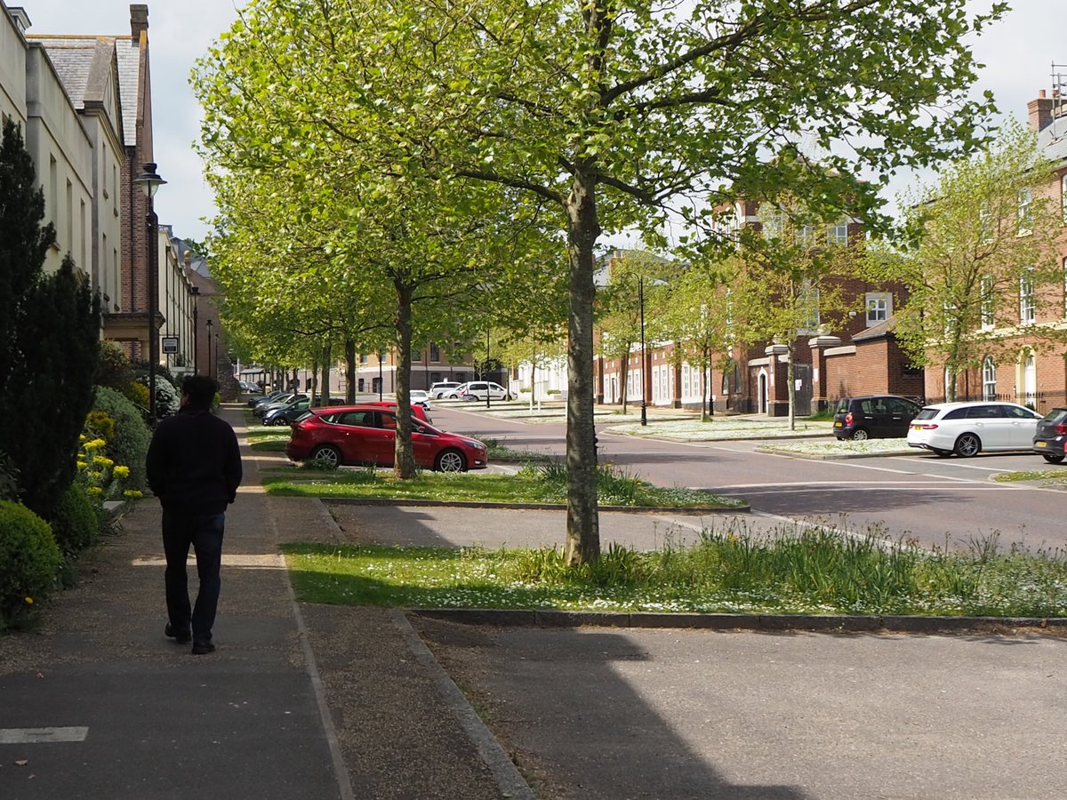 Nicholas Boys Smith tweet media