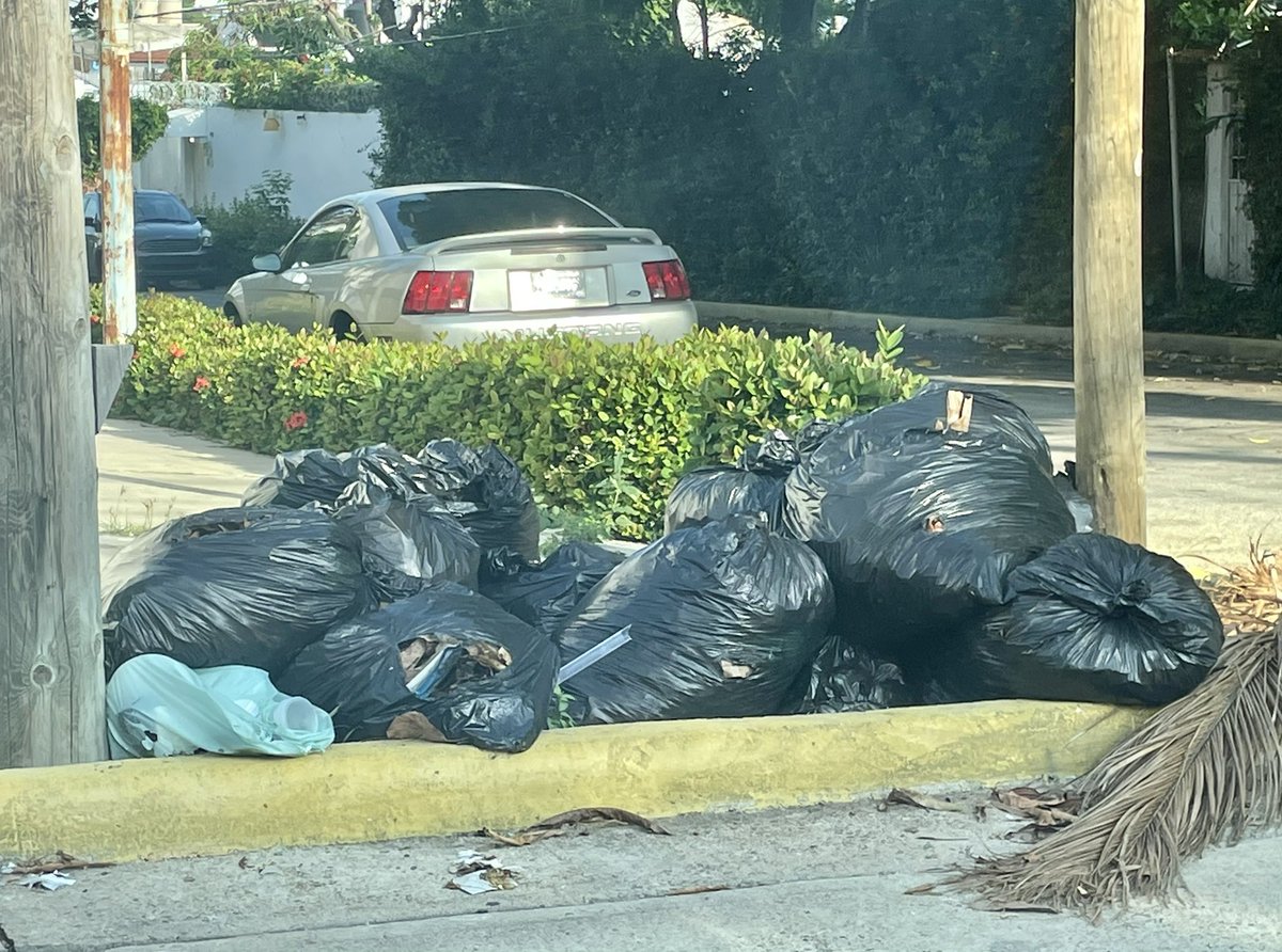 AcCostaazul's tweet photo. Desafortunadamente así estamos en nuestro fraccionamiento, pedimos apoyo de la Presidenta @AbelinaLopezR @AcapulcoGob  a buscar una solución pronta al servicio de recolección, ya que hasta el momento ni la  Coordinación de Servicios o Saneamiento Básico han podido #Acapulco (1) https://t.co/j422PwDvH5
