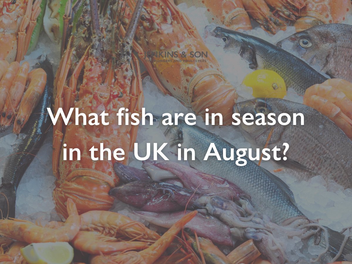 Discover the full list of #freshfish that are in season in the UK in August! Our newest blog details the best fish to try at this time of year.

Tell us your favourite.

jenkinsandsonfishandgame.co.uk/what-fish-are-…