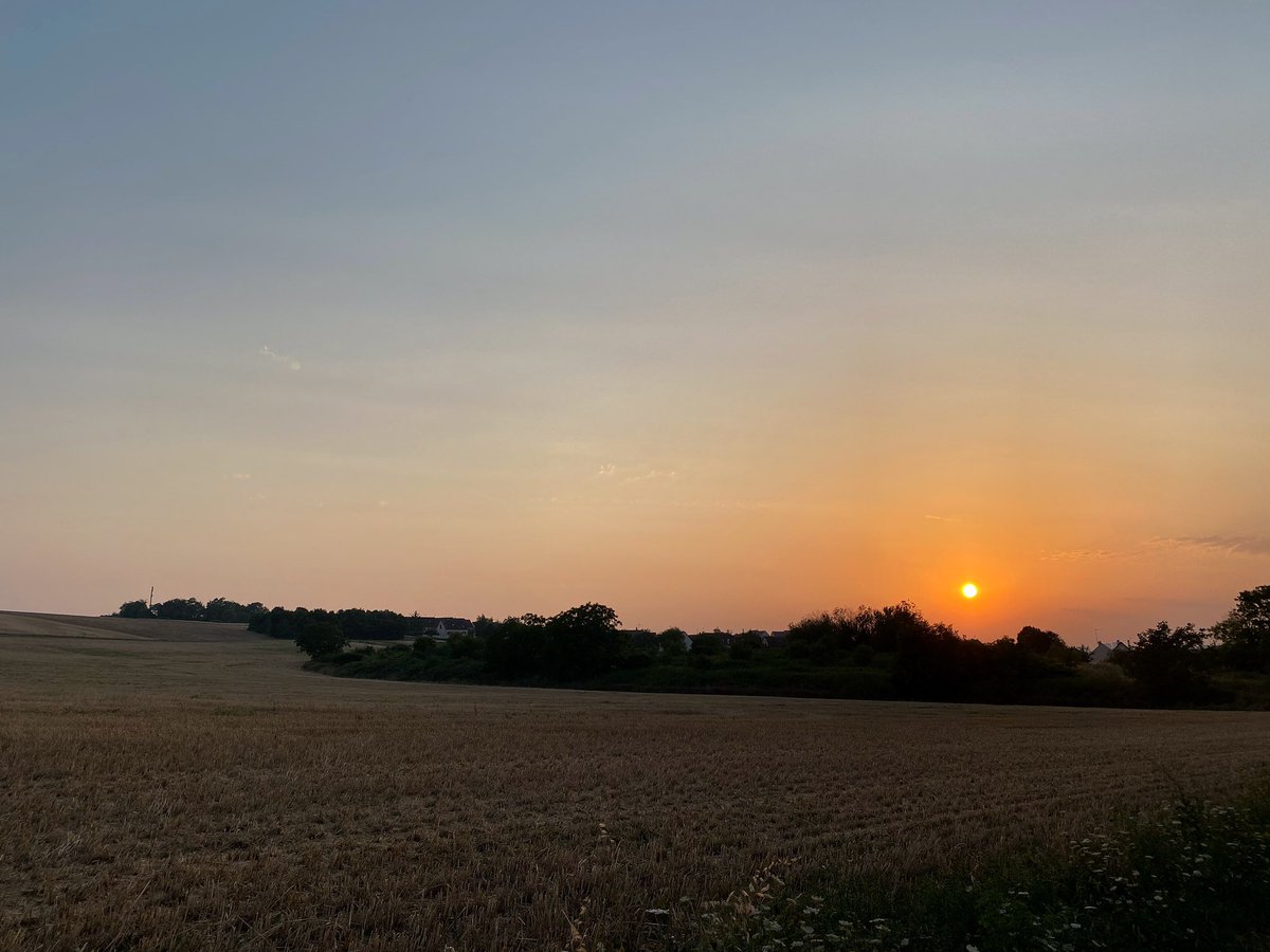 meteo_89's tweet photo. 🔴🔥 Nombreux signalements d’odeur de brûlé et d’un ciel ocre ce soir dans l’#Yonne. Il s’agit bien des fumées provoquées par les #incendies en #Gironde qui passent momentanément au-dessus de notre département. https://t.co/MCvsnhCIAC