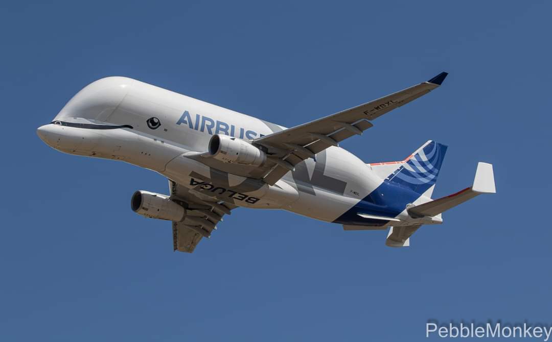 MarkbBentley's tweet photo. @AirbusintheUK seen these in the Airways at about 28000ft ,So it was great to see one very close @airtattoo #RIAT22 #Avgeeks #Baluga #Cargo @Airbus https://t.co/NGwhoFI8w2