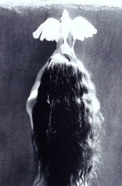 a (@angelinyourhead) on Twitter photo 