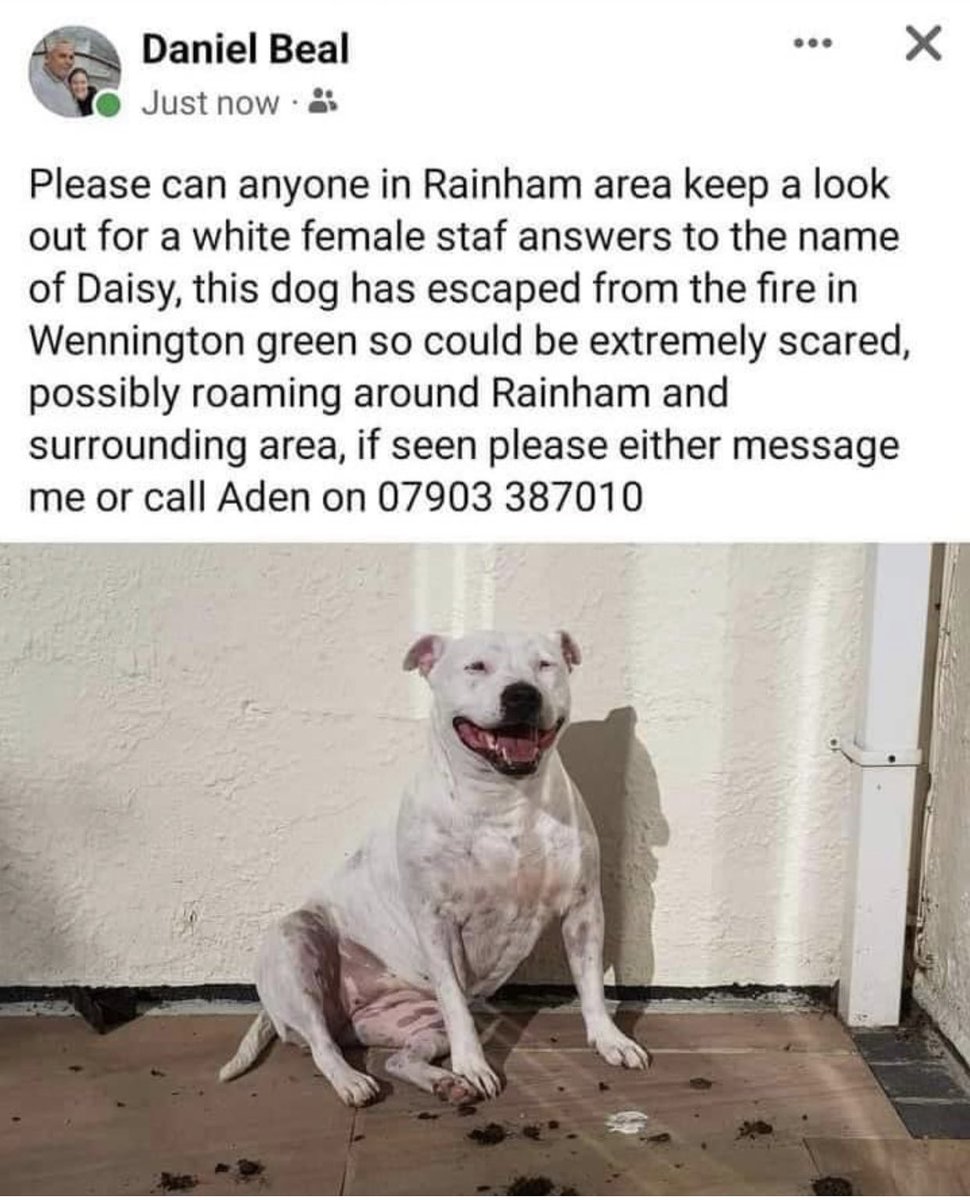 How heart breaking 🧡 Please keep eyes peeled if you’re in this area - Wennington Green - Rainham 🙏