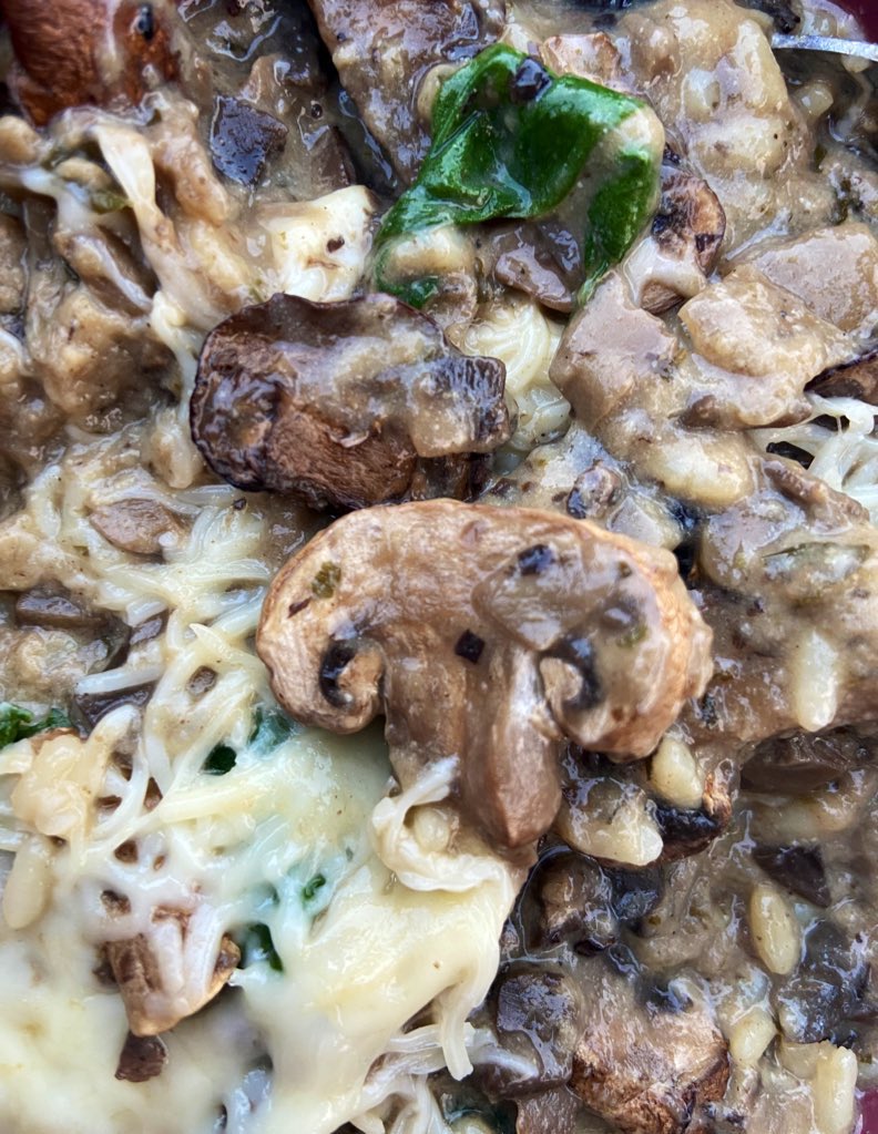 MrsF202's tweet photo. Always a controversial question… 

🍄Mushrooms 🍄 Yay or Nay?     

(Mushroom risotto not vomit - for reference) 

#RandomThoughts #Cooking #cookwithme #mushrooms #likeitorhateit https://t.co/y5SOQz2xzq