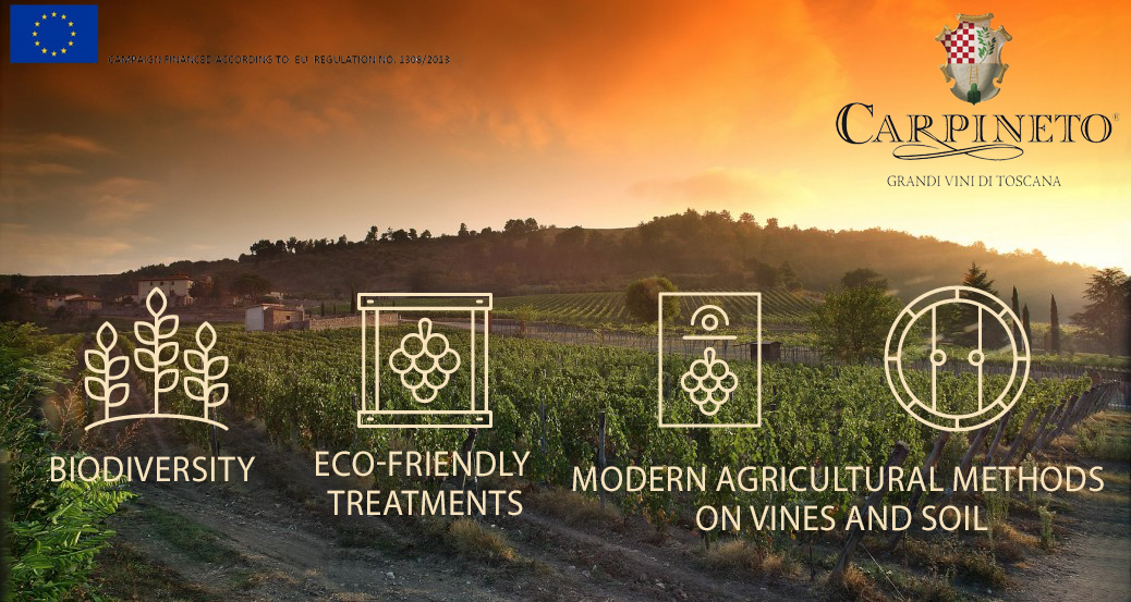 “Eco-sustainability means leaving both a company and the planet we live on even better than how we found them for the next generation to come.” - Antonio Michael Zaccheo, <a href="/CarpinetoWines/">carpinetowines</a>  carpineto.com/en/blog/carpin…