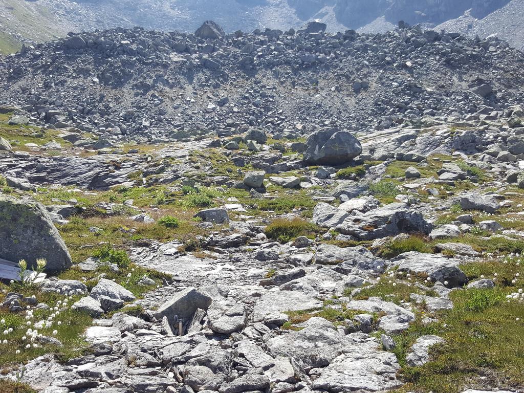 amschwand's tweet photo. Yet, the rockglacier outflow was super low and the streamlet dry. We  (actually: Martin :) did our best to measure and sample the little water that emerged at the spring. https://t.co/YCmtlg2kWu