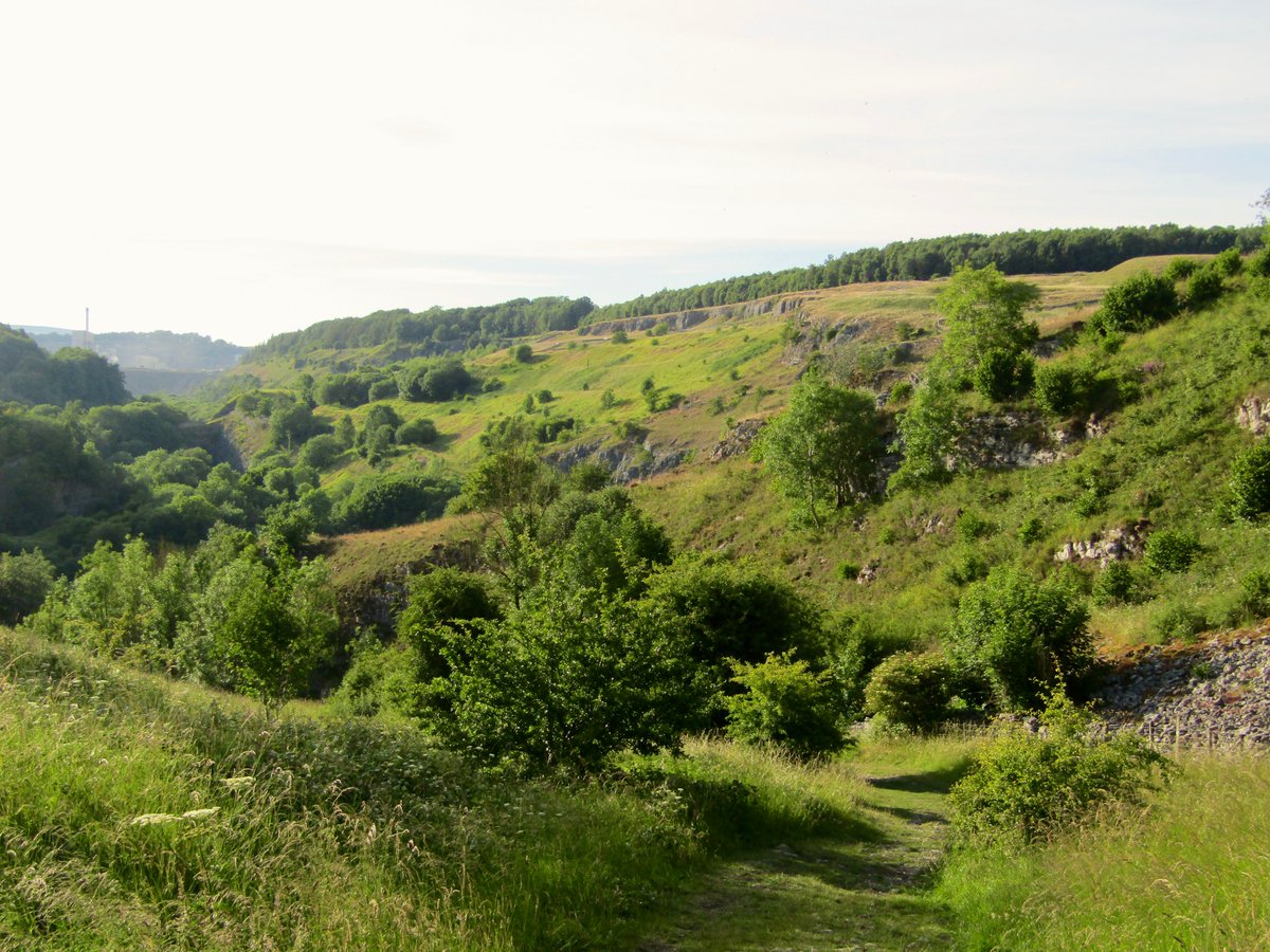 AwayMaja's tweet photo. A quick trip to the #PeakDistrict a few weeks ago β loved this beautiful evening walk around #CheeDale! π₯° 5-mile route from @PeakDistrictWks π
#EscapeTheEveryday #Derbyshire @vpdd @peakdistrict https://t.co/KxAaUWu0tw