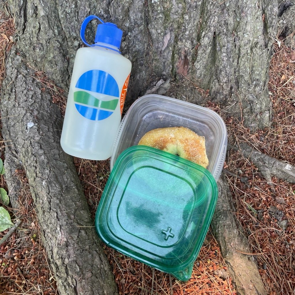 Help reduce single-use plastic litter outdoors this #PlasticFreeJuly! On the trail, pack items such as reusable utensils, containers, and water bottles. If you stop for a snack, check for trash before continuing on. Learn more: plasticfreejuly.org.

#LeaveNoTraceTuesday