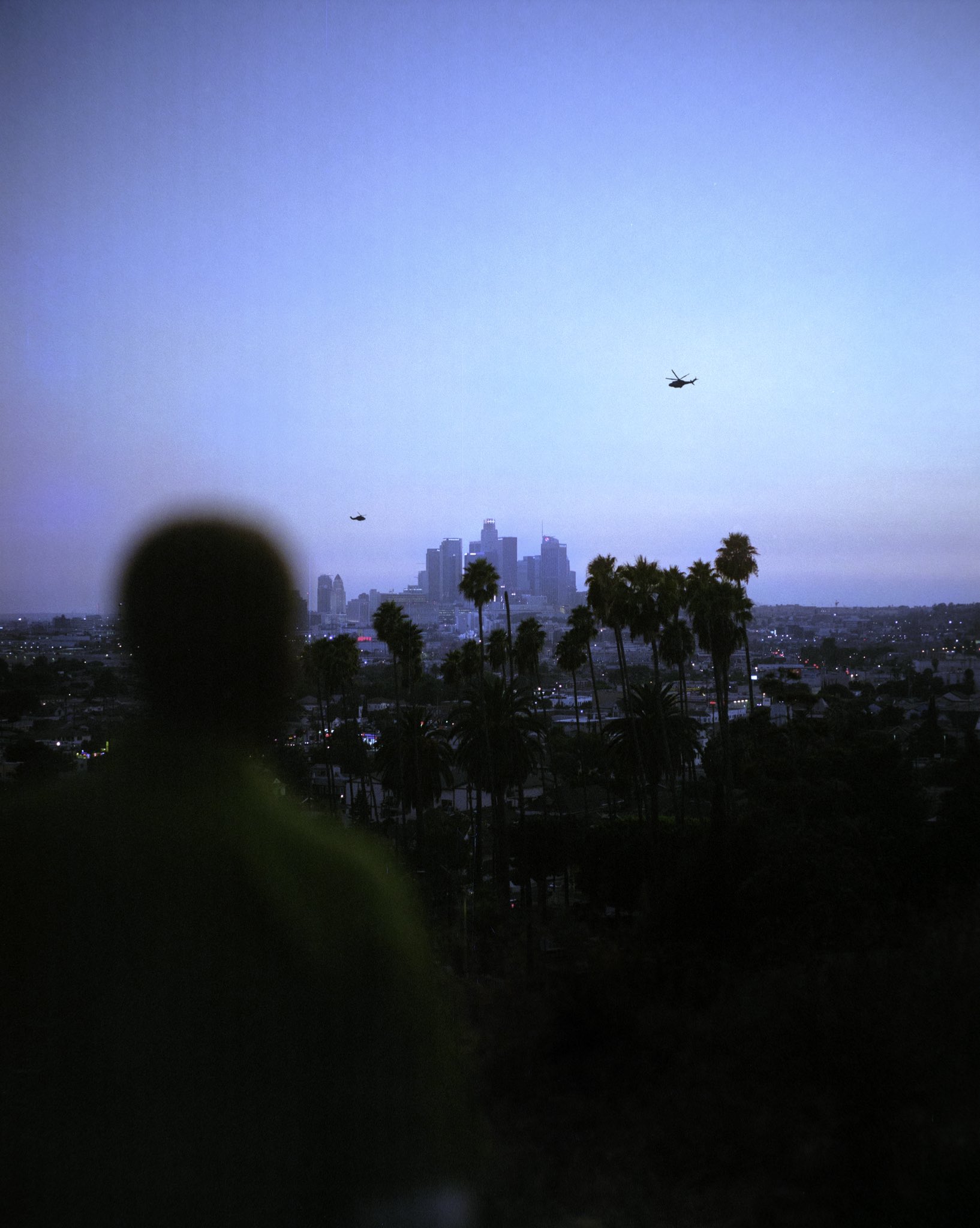 nick rufo on Twitter: 