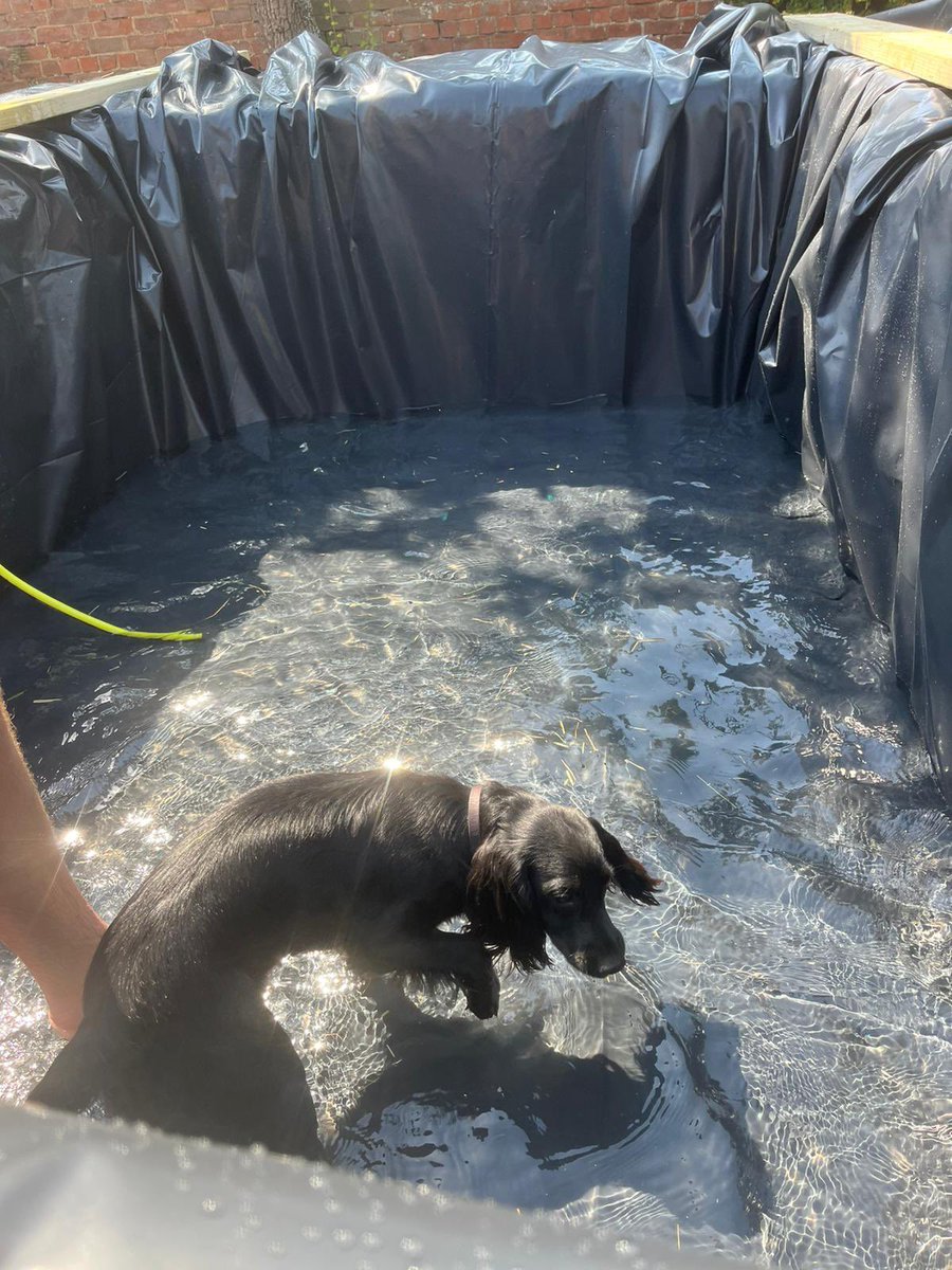 Richard Tagg tweet media