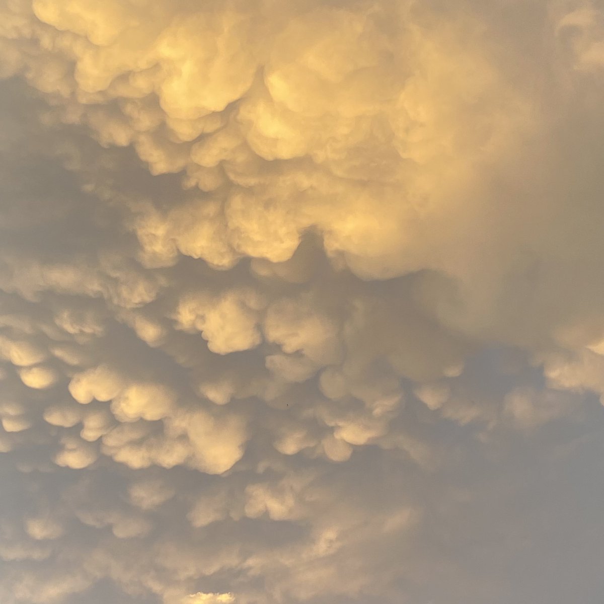 Don’t recall what this cloud is from my a level geography - unusual but beautiful after the much needed rain in #stonystratford #UKHeatwave ☁️