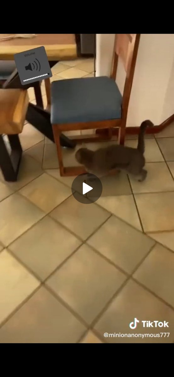 daddyaioligato tweet media