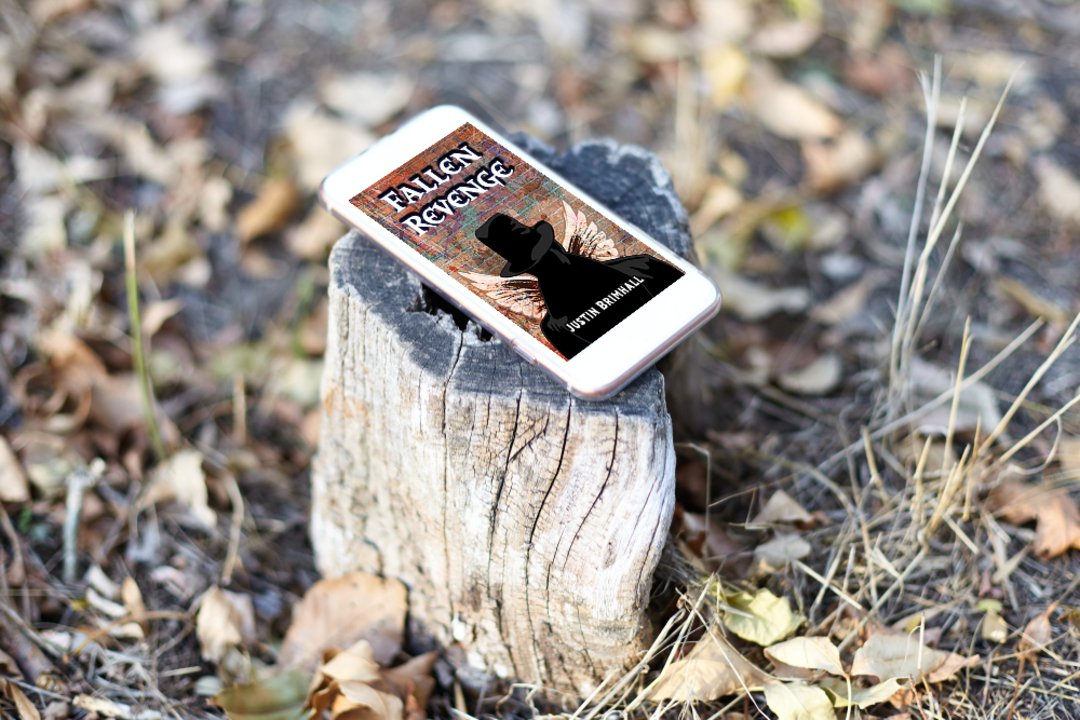 Book Promotion tweet media