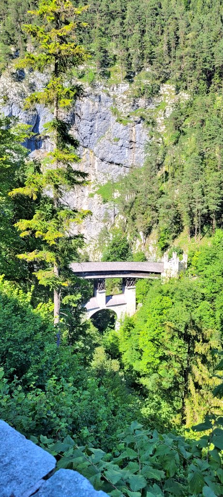 My family trip blog tweet media