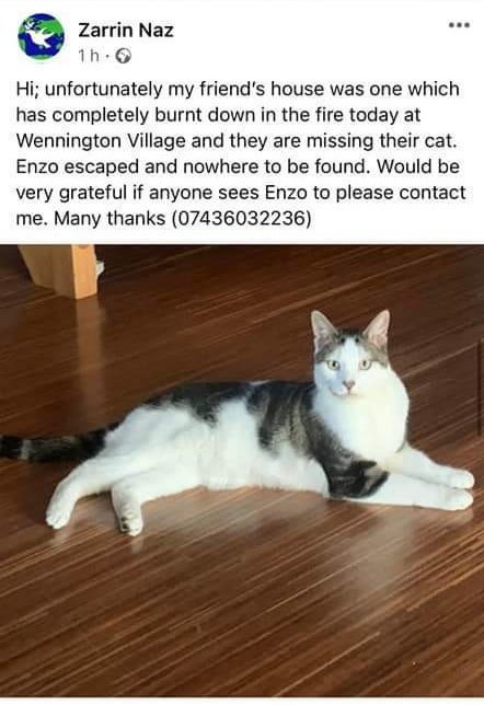 #BePETTHEFTaware tweet media