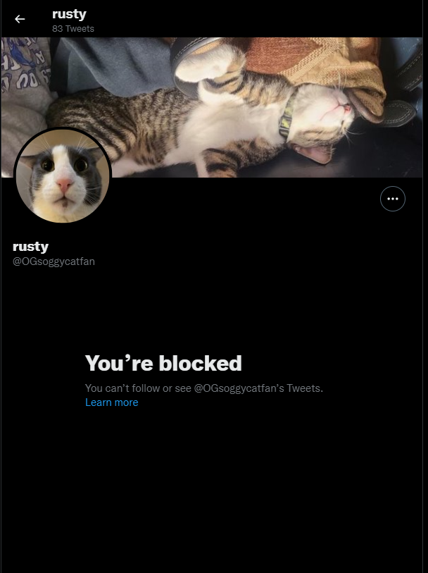 zaju_2's tweet photo. @zootcatss @OGsoggycatfan (i didnt do anything)☝️🙏 https://t.co/Ct5cejvaRS
