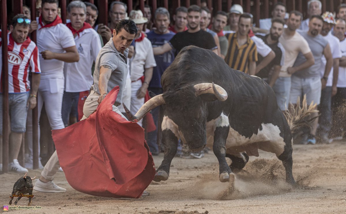 jeronimo_sand's tweet photo. No se rinden quién no se cansa .
Muchas batallas perdidas pero la guerra no está definida.
@RafaggarridoG @LasVentas
#sinrendicion #constancia #fe #sueñoentorero #todollega #coria2022 https://t.co/VVn5fttcbd