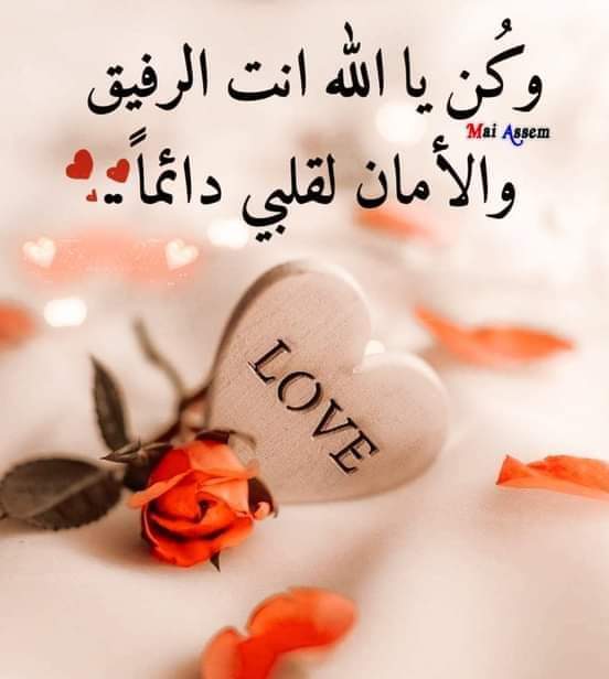 i سلطانه هويام (@i21213256) on Twitter photo 