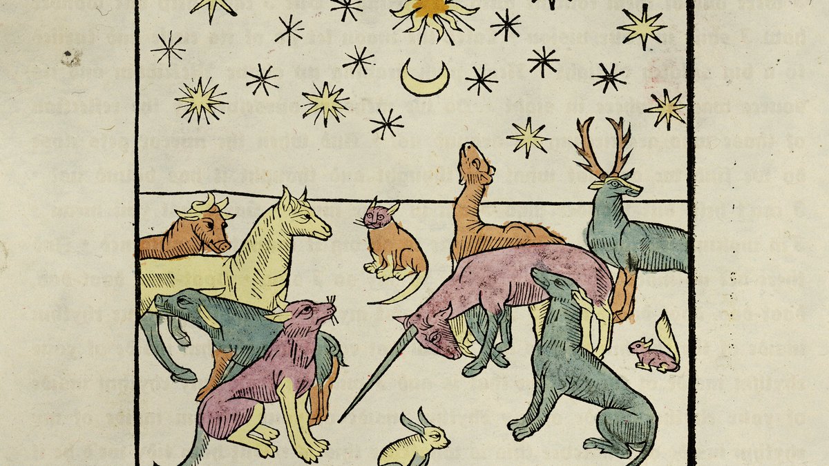 Northern Transmissions Song of the Day is “Effort” by Pearla northerntransmissions.com/effort-by-pear… #SongOfTheDay #NewMusic