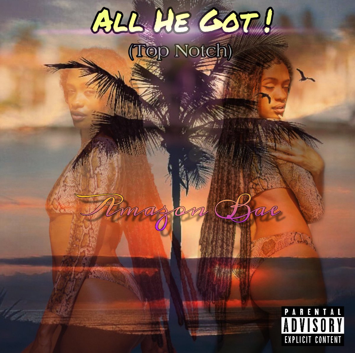 My new single “All He Got” (Top Notch) dropping this Friday 7/22 🔥🔥🌑🎉🎉 #staytuned #femaledj #shejay #femaleartist #floridarapper