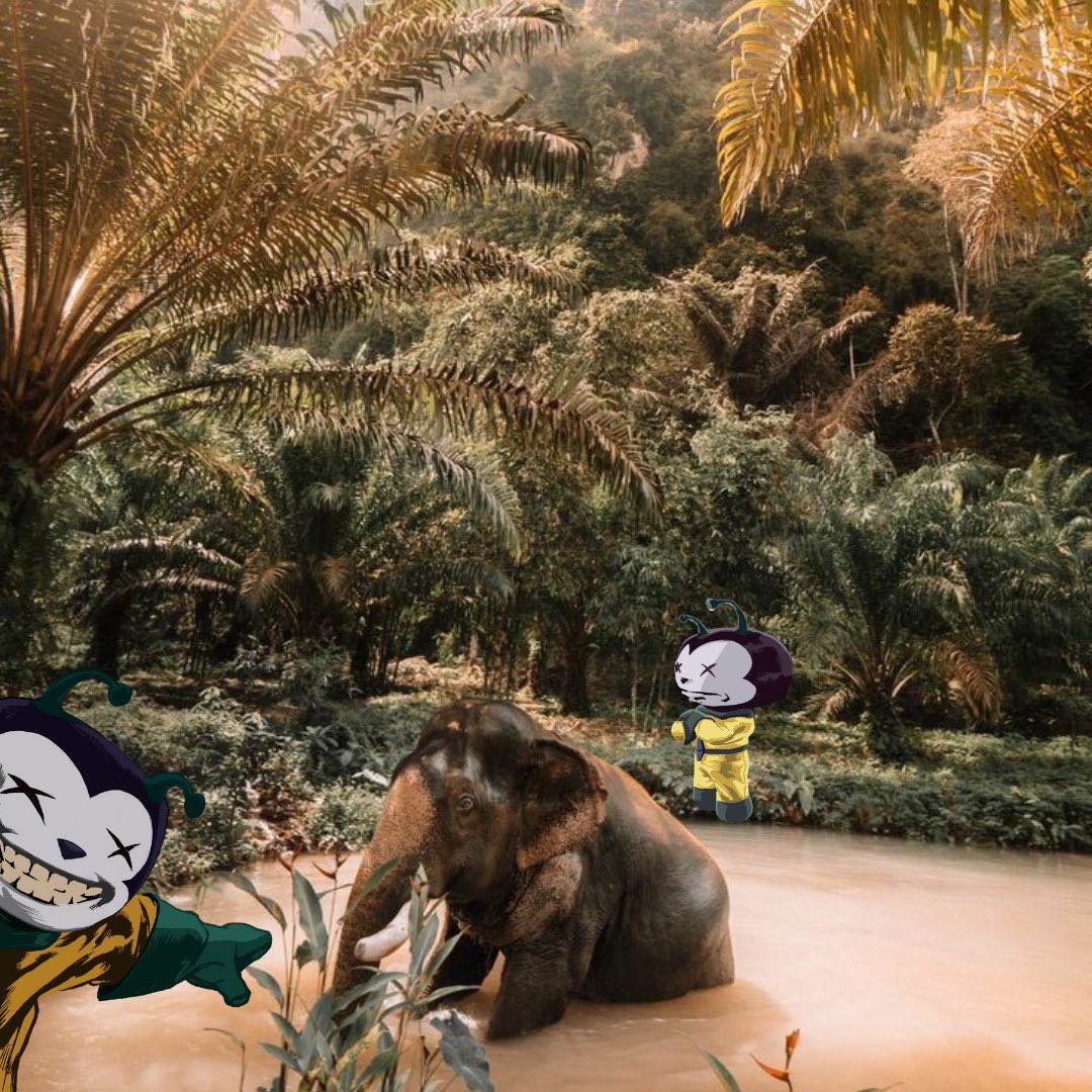 Incomers tweet media