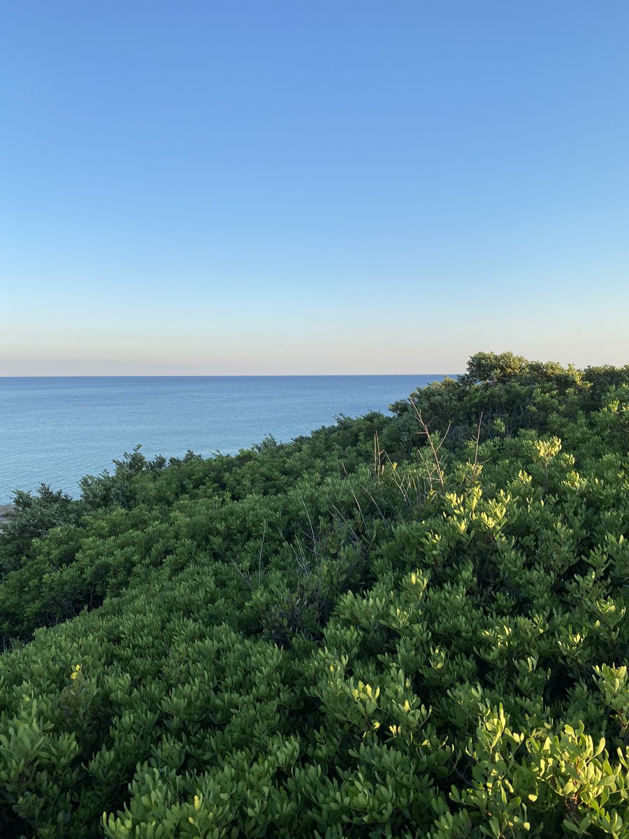 Dario Pagnoni tweet media