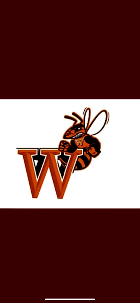 Logan Kline tweet media