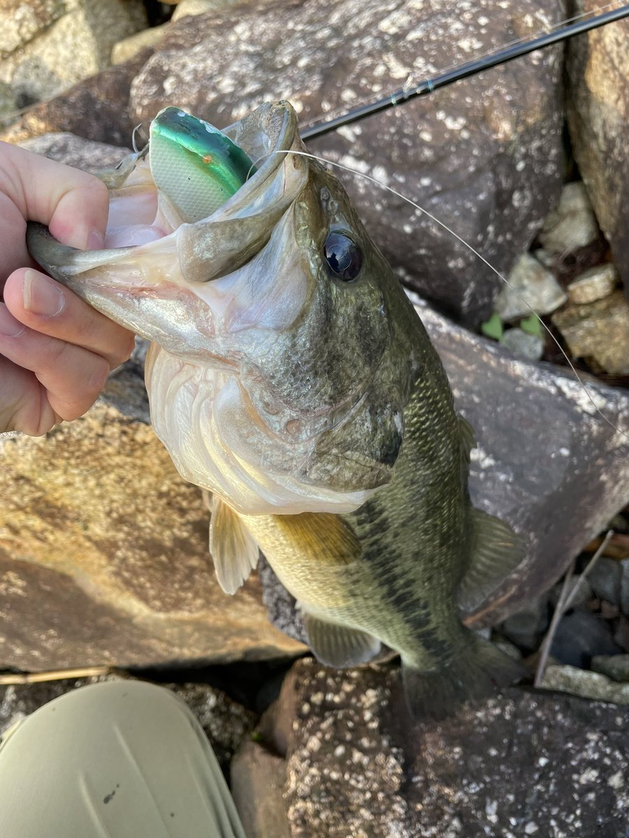 六度九分 (@rokudokubu) / Posts / X