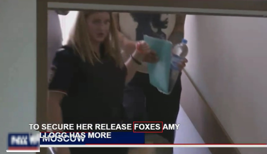 VCAaron22's tweet photo. Amy works for FOX. She has nothing to do with alert carnivorous mammals of the family Canidae related to the wolves but smaller. https://t.co/VClEybjhQk