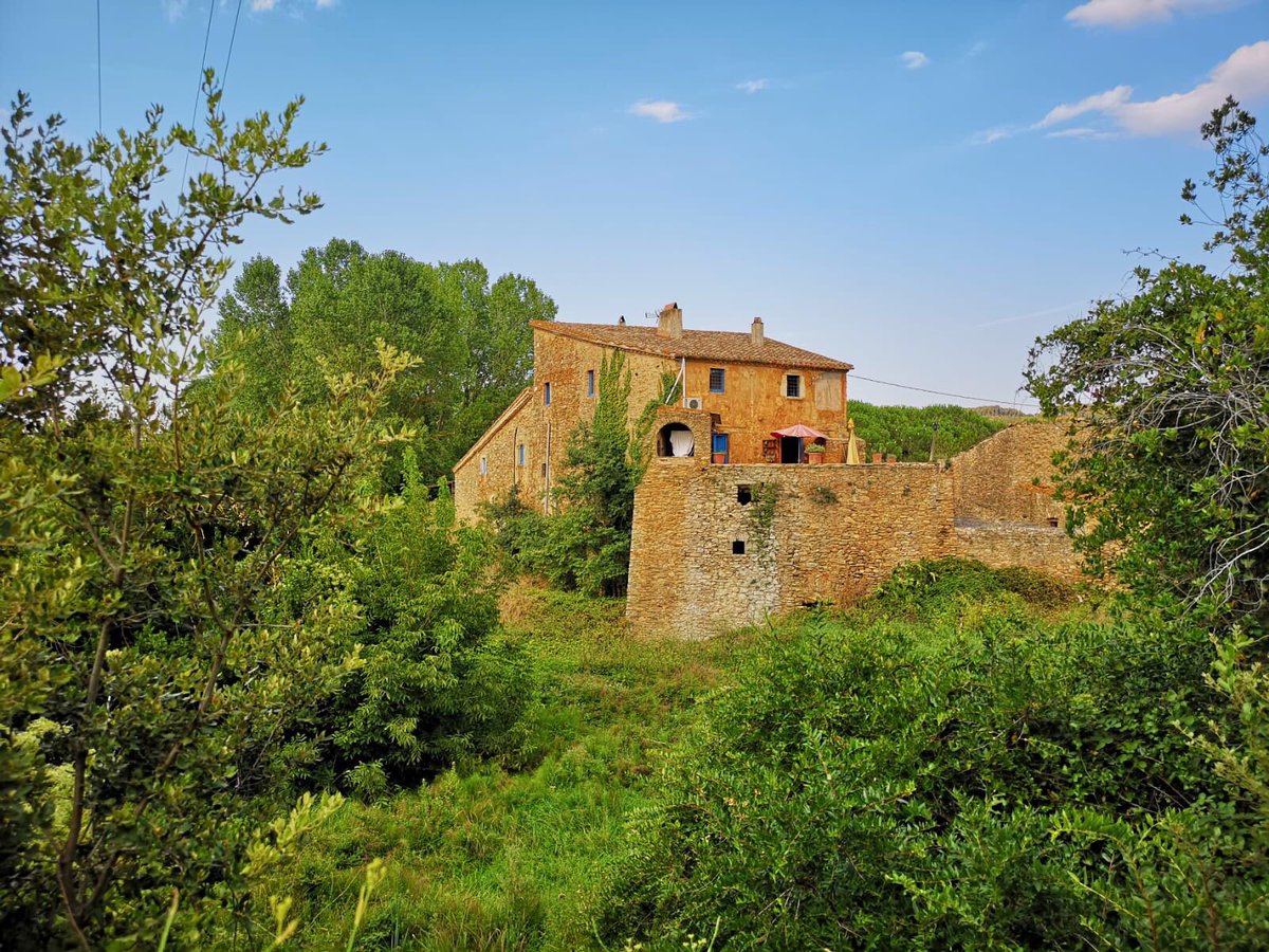 Ignasi Serra de Juan tweet media