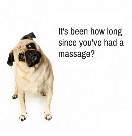 A_MasterMassage's tweet photo. It's been how long since you've had a massage? Book in now!

Website: https://t.co/odNSdfg3uB

#Massage #Remedial #Relaxation #Body #FeelBetter #FeelGood #GetAMassage #Benefits #Health #Journey #NewYou #NeedAMassage #TakeCare #Appointment #Schedule #BookInNow #BookNow https://t.co/Zxf0AmbmbX
