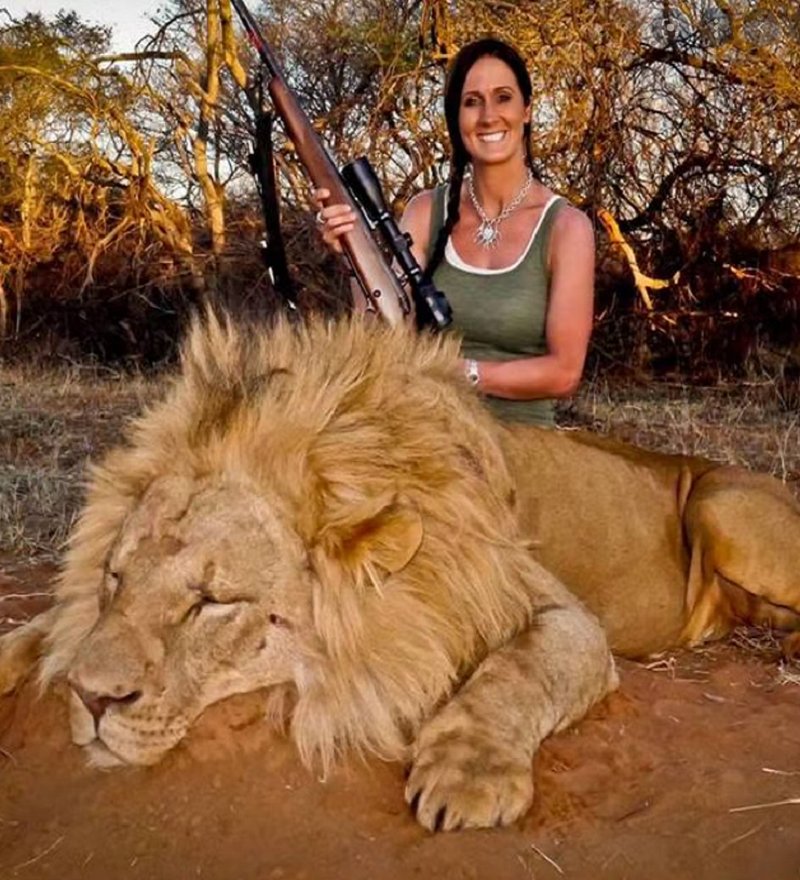 Please retweet if you think there should be a worldwide ban on trophy hunting. 😡 #TiredEarth #SDGs #gunviolence #hunter #hunters #hunting #poacher #poachers #poaching #africa