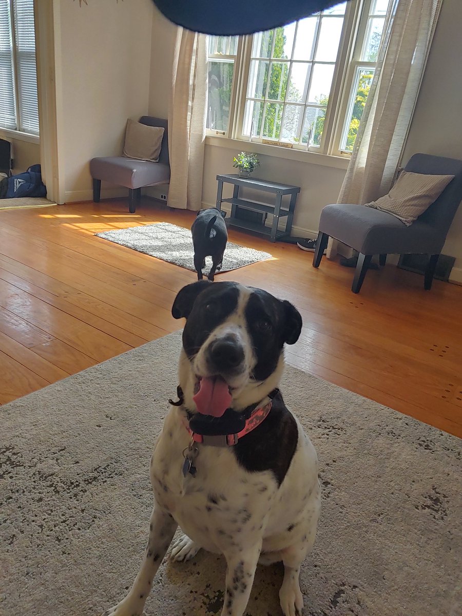 dontavious tweet media