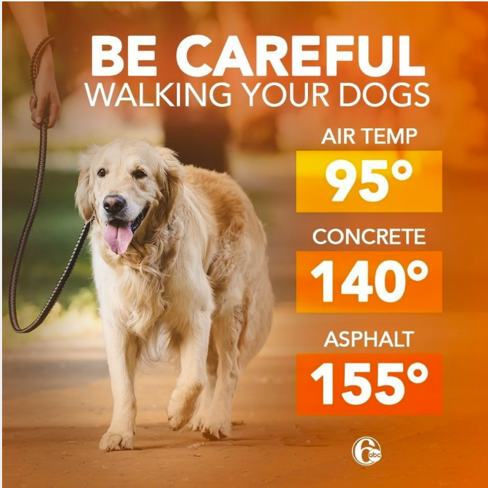 FriendsofBCAS's tweet photo. It's HOT out there!! https://t.co/u0f1pfW4tj