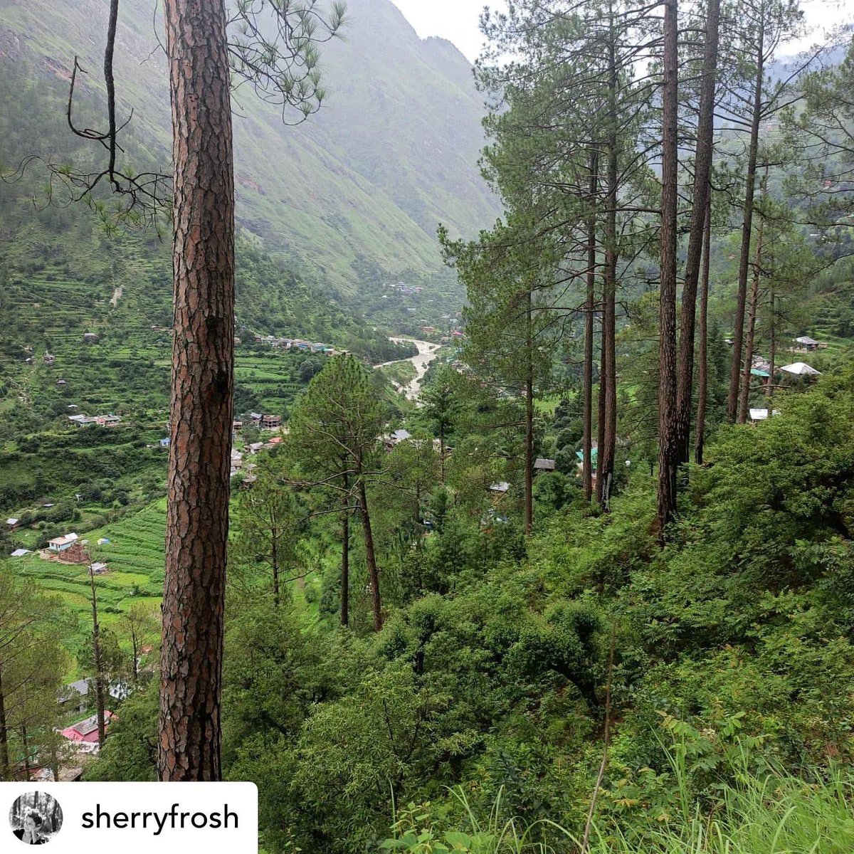 TFETIRTHAN's tweet photo. Good morning people! It is a beautiful day here. 

#tirthanvalley #mountains #HimachalPradesh https://t.co/j0UHPQ4cwq