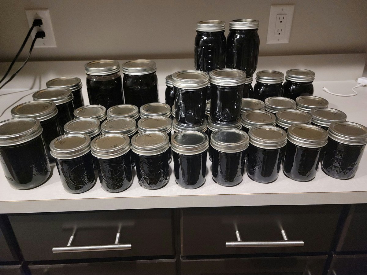Chief_Clary's tweet image. What does a police chief in Bellevue, Nebraska do to relieve stress in his downtime? How about pick black raspberries and make jelly...?  Bring on the black berries next... #BPD