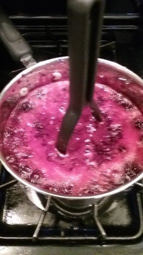 Chief_Clary's tweet image. What does a police chief in Bellevue, Nebraska do to relieve stress in his downtime? How about pick black raspberries and make jelly...?  Bring on the black berries next... #BPD