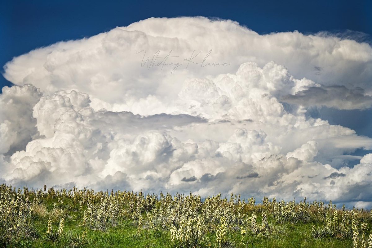 Our big skies know how to bring the drama. 📷 instagram.com/whitney.klasna #MissouriRiverCountry #NortheastMontana #MoreRoomToRoam #TravelMontana #ExperienceMontana #406 #LastBestPlace #BigSkyCountry #MontanaMoment #OnlyInMontana #EasternMontana⁠