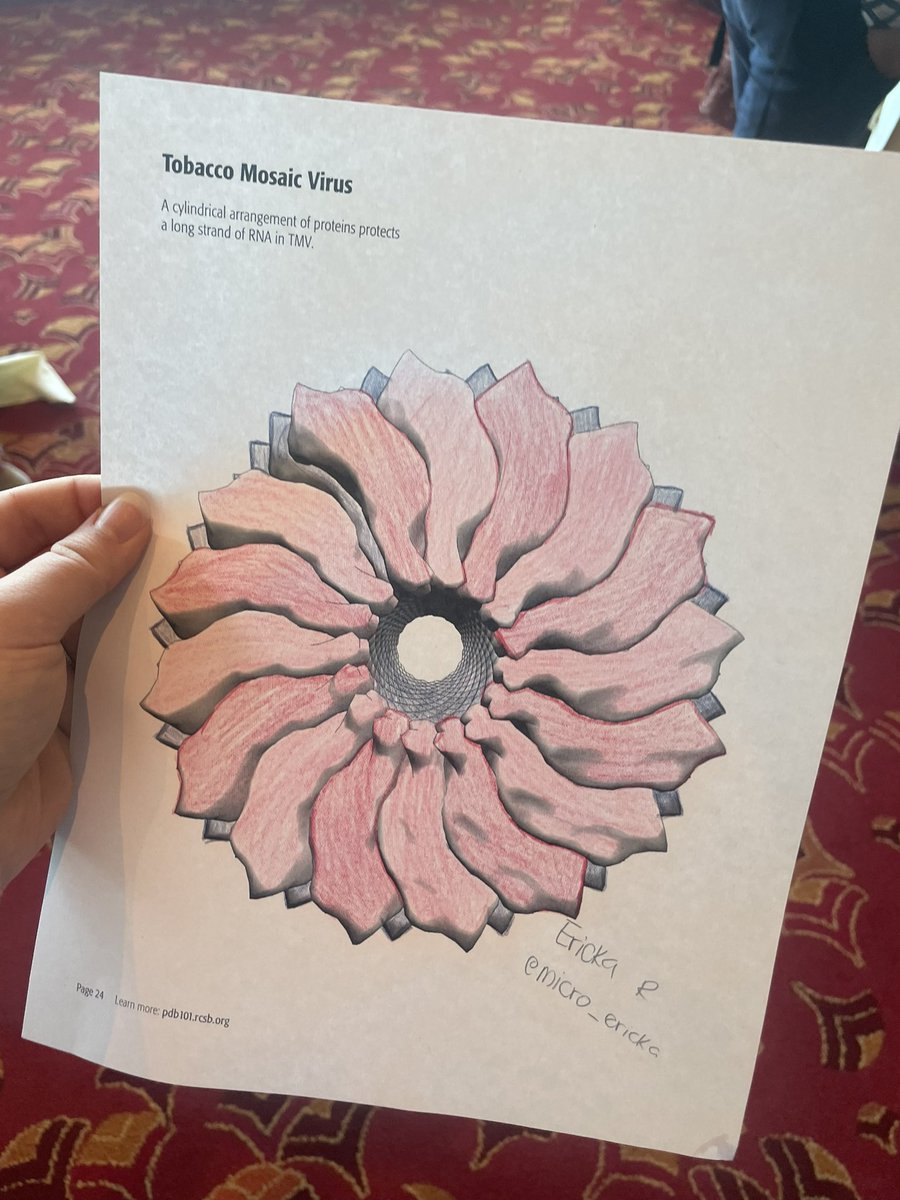 micro_ericka's tweet photo. My beautiful art from Virology Olympics today #asv2022 https://t.co/QUrsepSN63