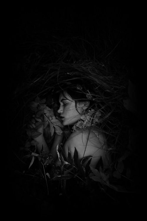 1__Penelope's tweet photo. My Sweet Darkness.

Image, Pinterest https://t.co/TLipZ2fekZ